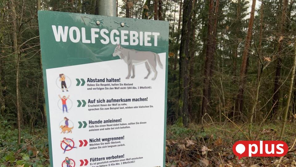 "Wolfsgebiet" Infotafeln mit fünf Tipps zeigen Spaziergängern das