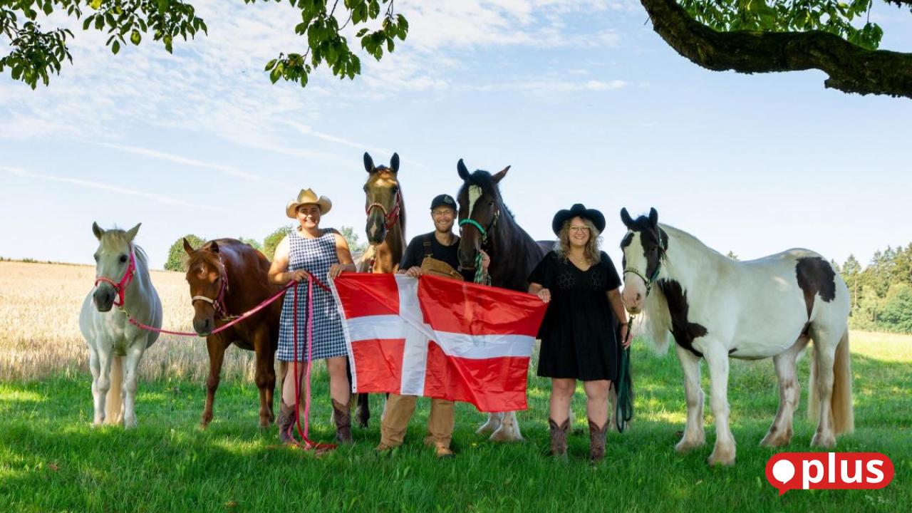 Three horse friends from Pleystein emigrate to Denmark - with eleven ...