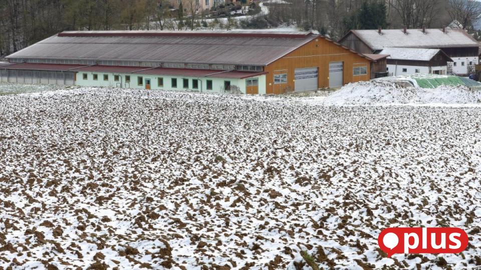 Auch in Amberg und AmbergSulzbach gibt es immer weniger Bauern