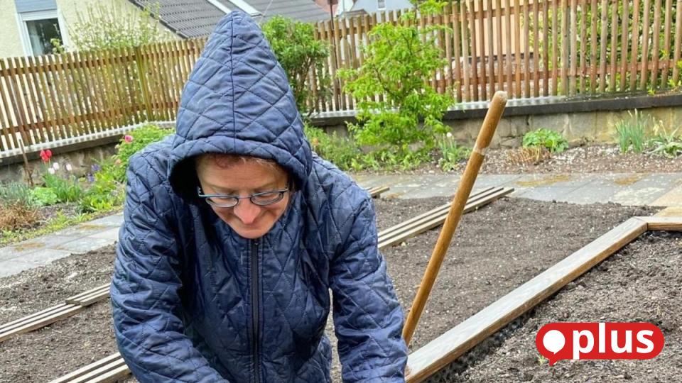 Expertin gibt HobbyGärtnern Tipps zum Gemüseanbau bei Trockenheit