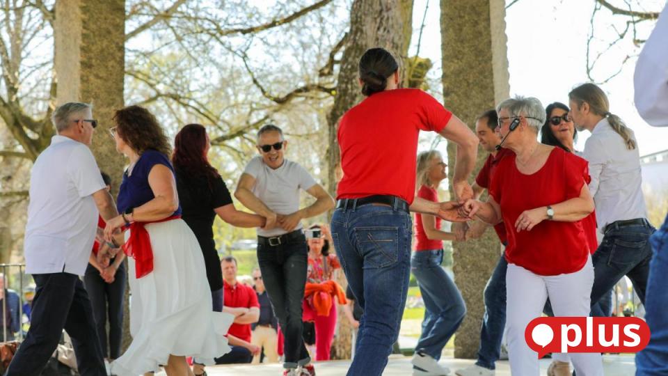 Rueda Flash Mob Draws Crowd in English Garden