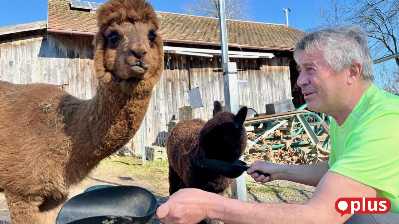 Eslarn's Mayor to Take a More Relaxed Look at His Ranch from 2026