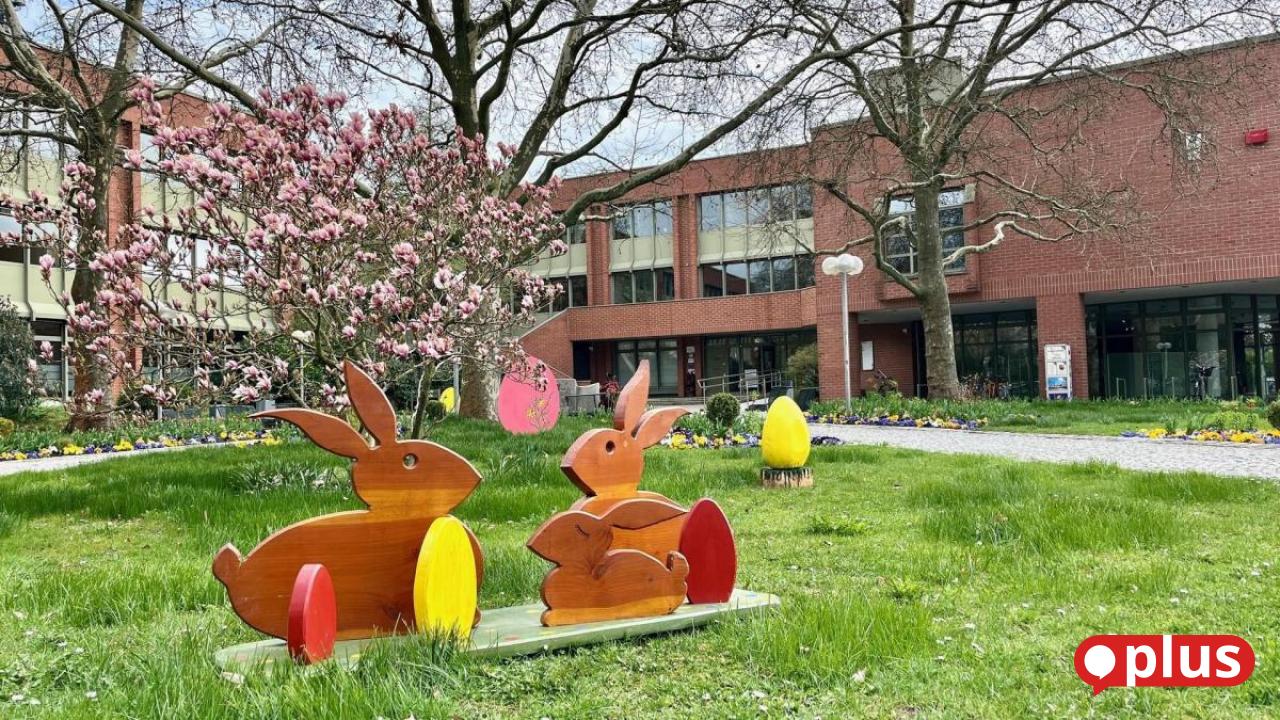 OB-Wahl in Weiden birgt einige Überraschungseier