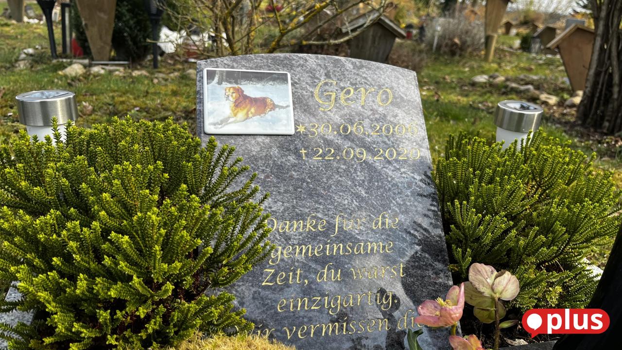 Wenn Haustiere sterben: Bestattungen in der Oberpfalz und der Weg aus der ...