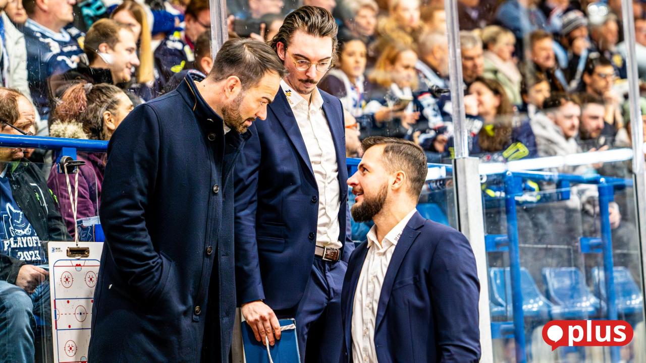 Künftiges Trainerteam der Blue Devils Weiden: Zwei Verlängerungen ...