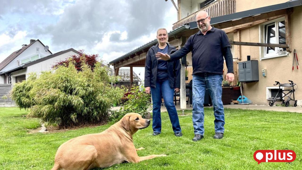 Dog boarding kennels in the Upper Palatinate: Where to take your dog on ...