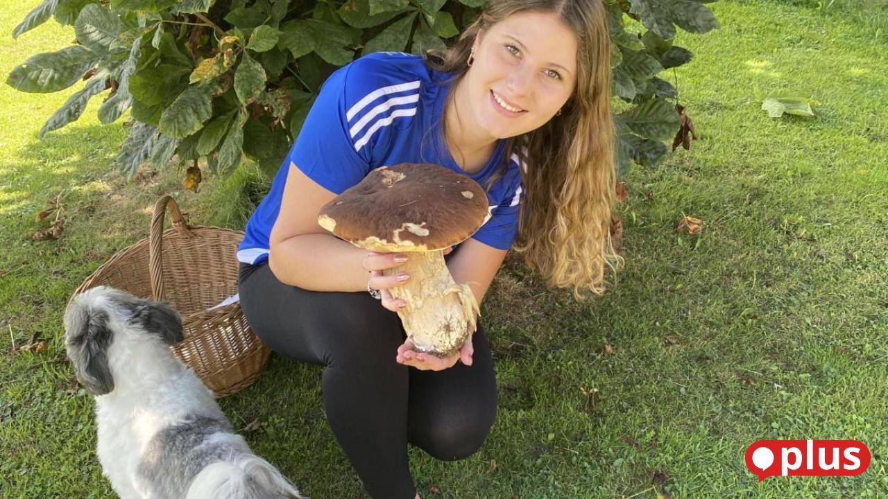 Mushroom season in Upper Palatinate: Forager finds large porcini mushroom ...