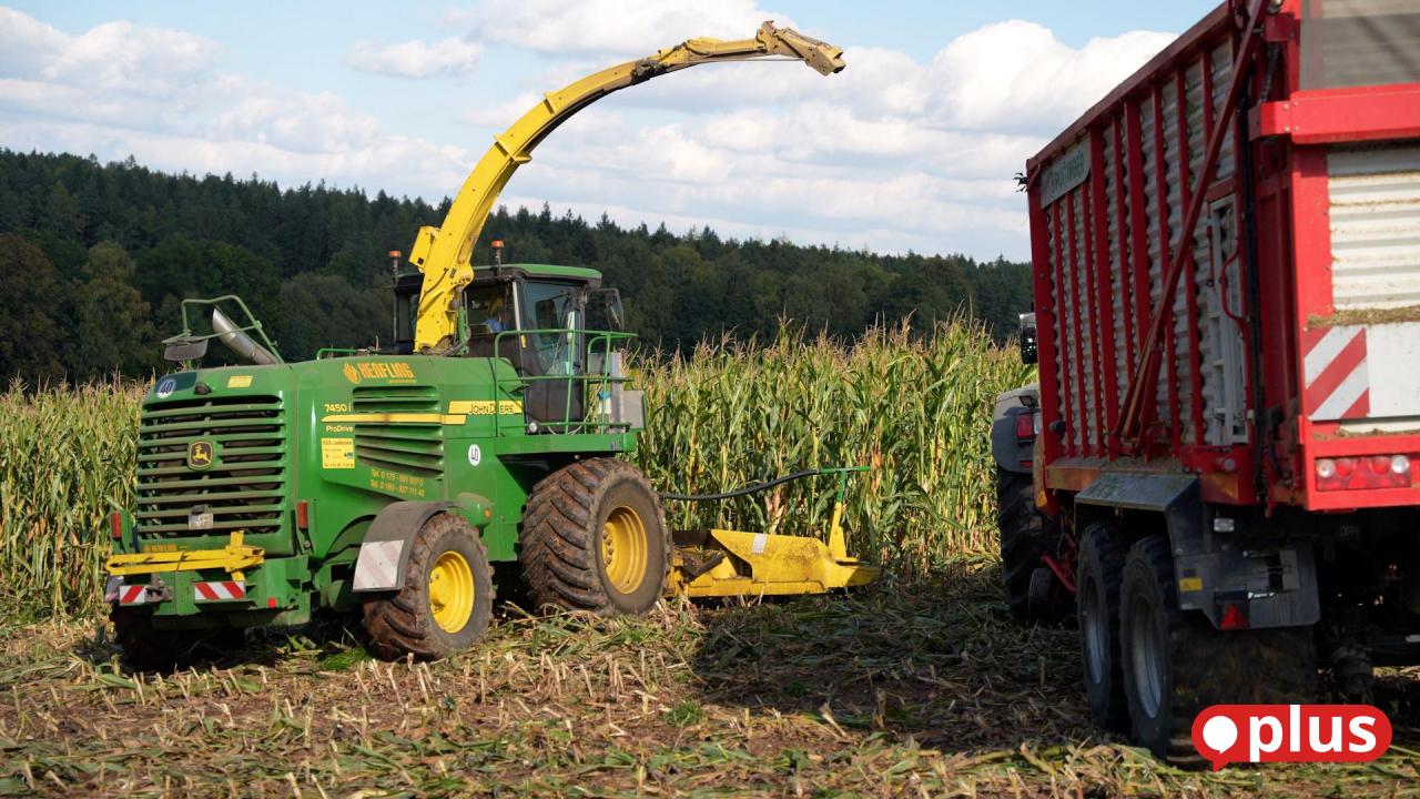 Wie-ein-Landwirt-aus-Altendorf-bei-Pressath-24-Hektar-Futtermais-erntet