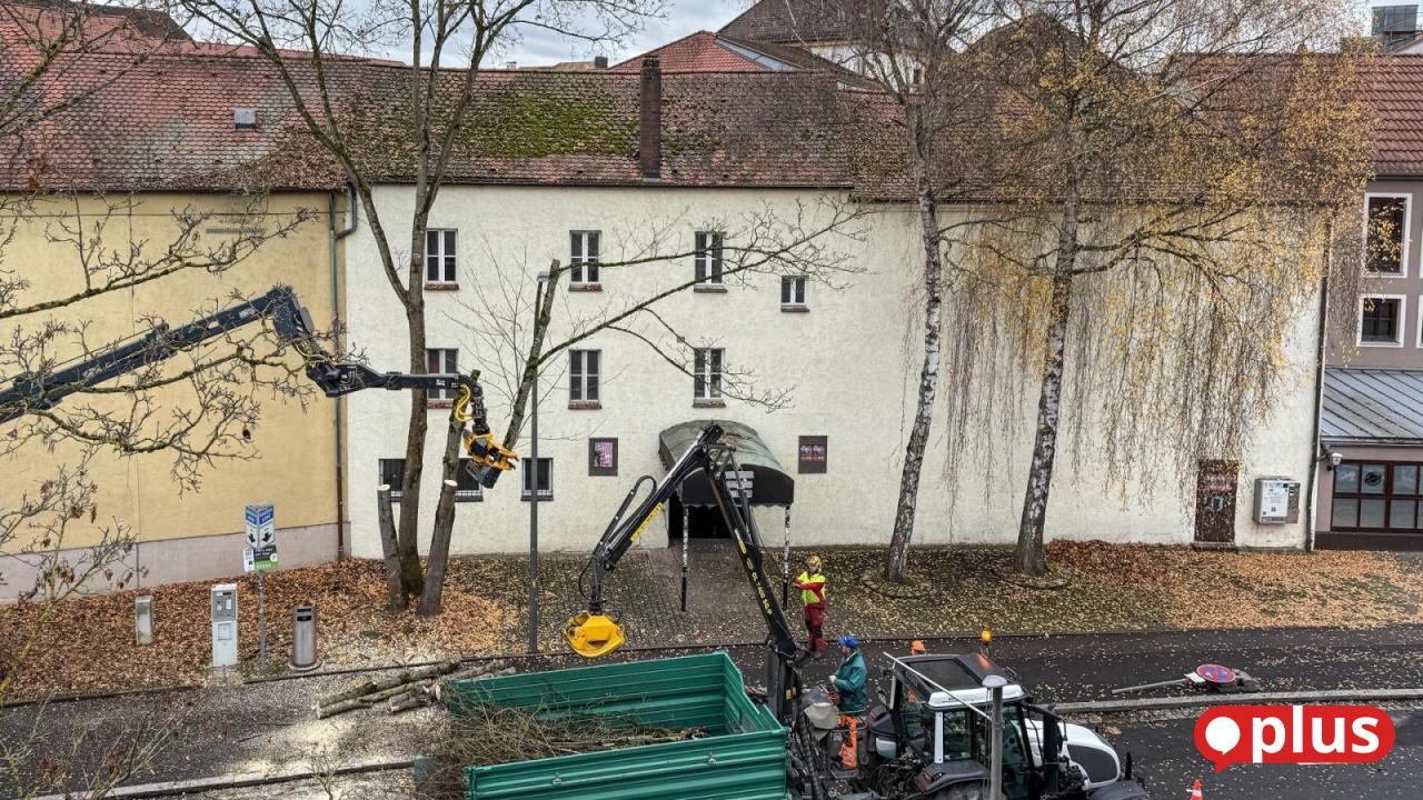 Stadt-l-sst-Baum-Trio-vor-dem-Trio-in-Amberg-f-llen