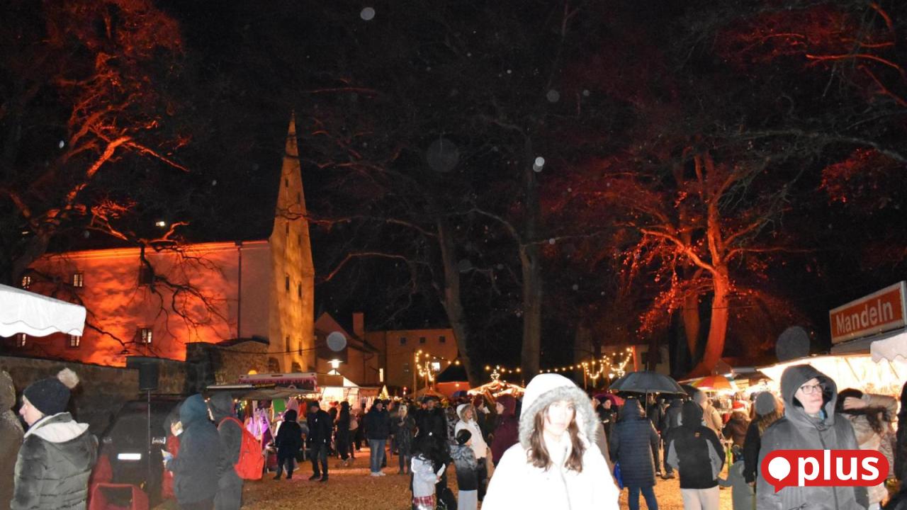 Oberpf-lzer-Adventsmarkt-Weihnachtslieder-Nikolaus-und-Kamele-im-Stadtpark-Grafenw-hr