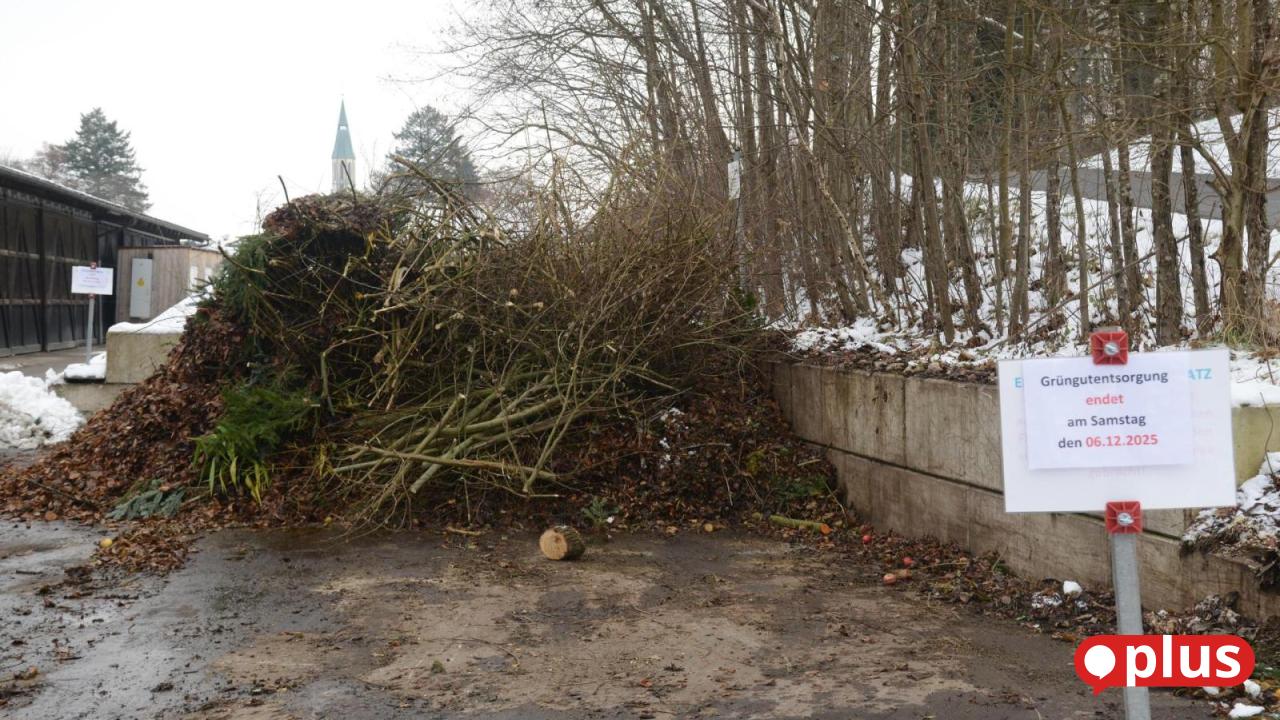 Gr-nguttouristen-aus-Vohenstrau-mag-man-in-Pleystein-nicht