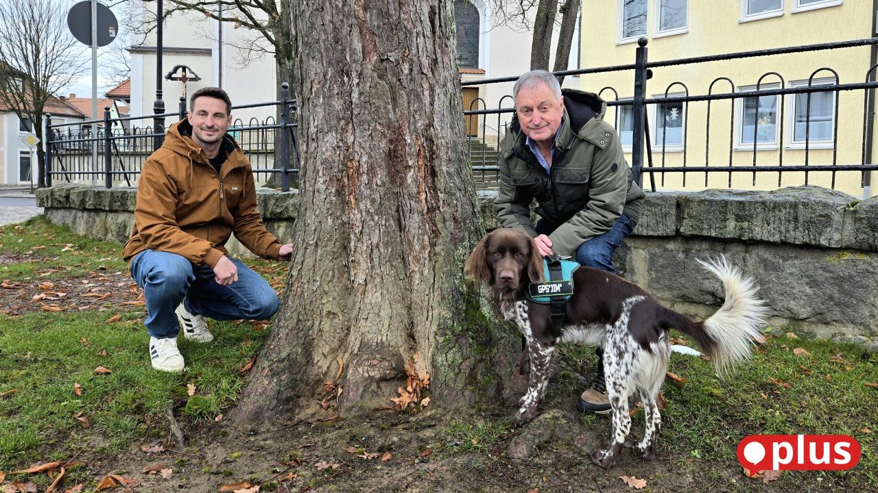 -ber-120-000-B-ume-kontrolliert-Edgar-Wenisch-bergibt-Fachb-ro-an-Sohn-und-zieht-Bilanz