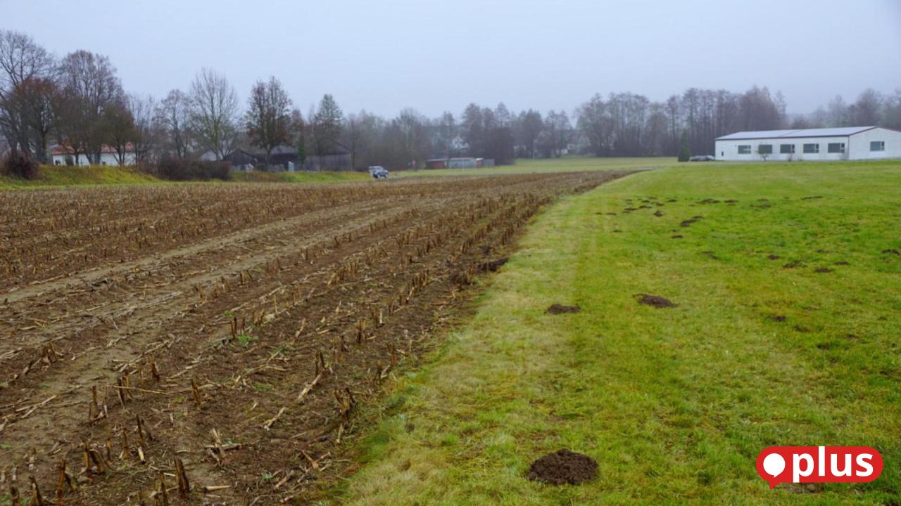 Kulmain-gibt-Baugebiet-Am-Schirnitzbach-auf