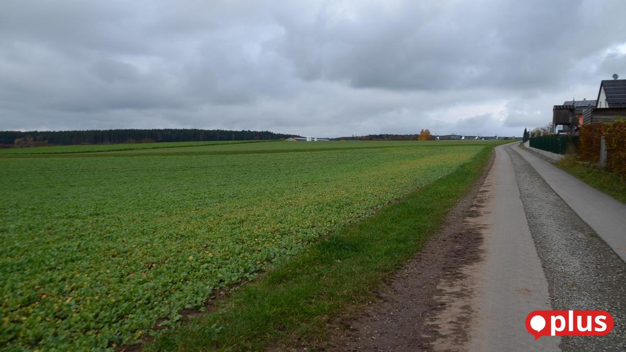 Speichersdorfer-R-te-ndern-Bebauungsplan-f-r-landwirtschaftliche-Maschinenhalle