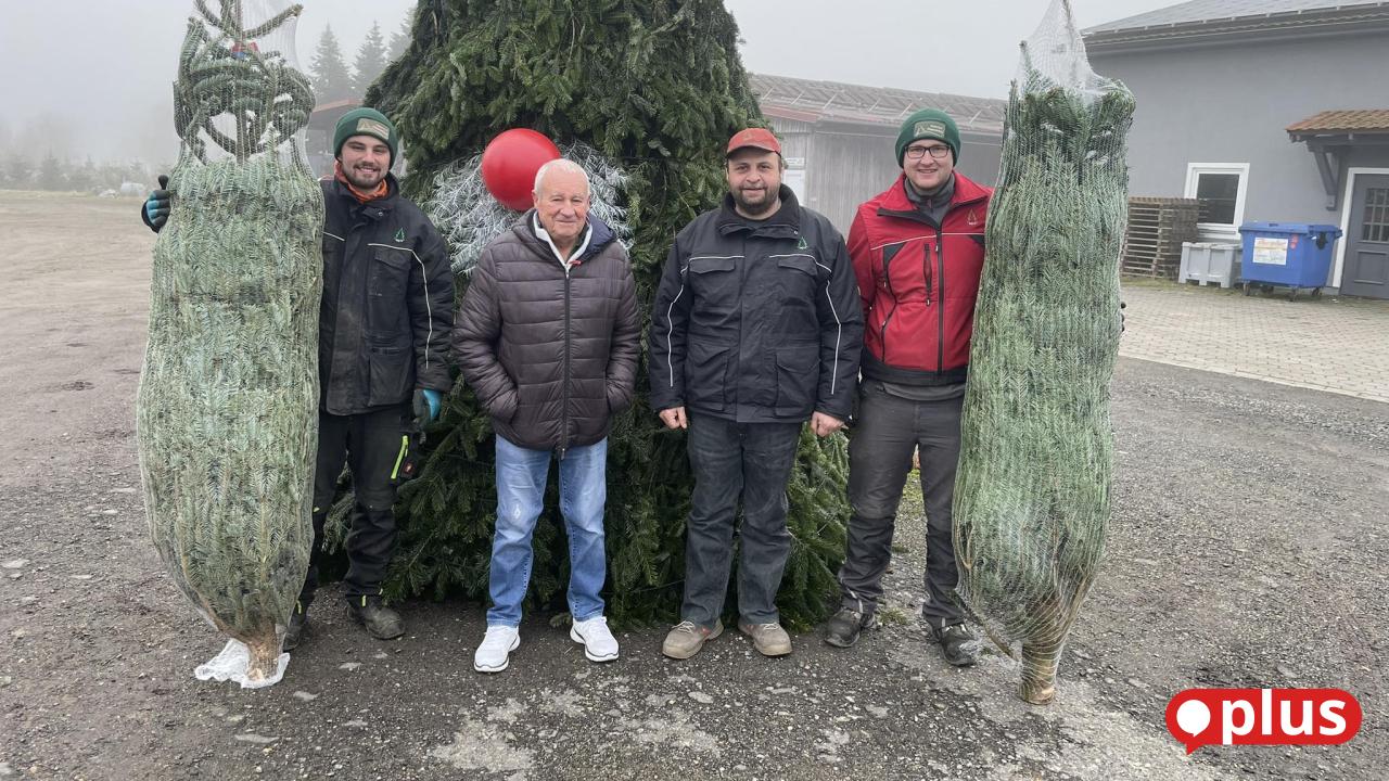 25 Years of Friendship: Italian Buys Christmas Trees in Eslarn