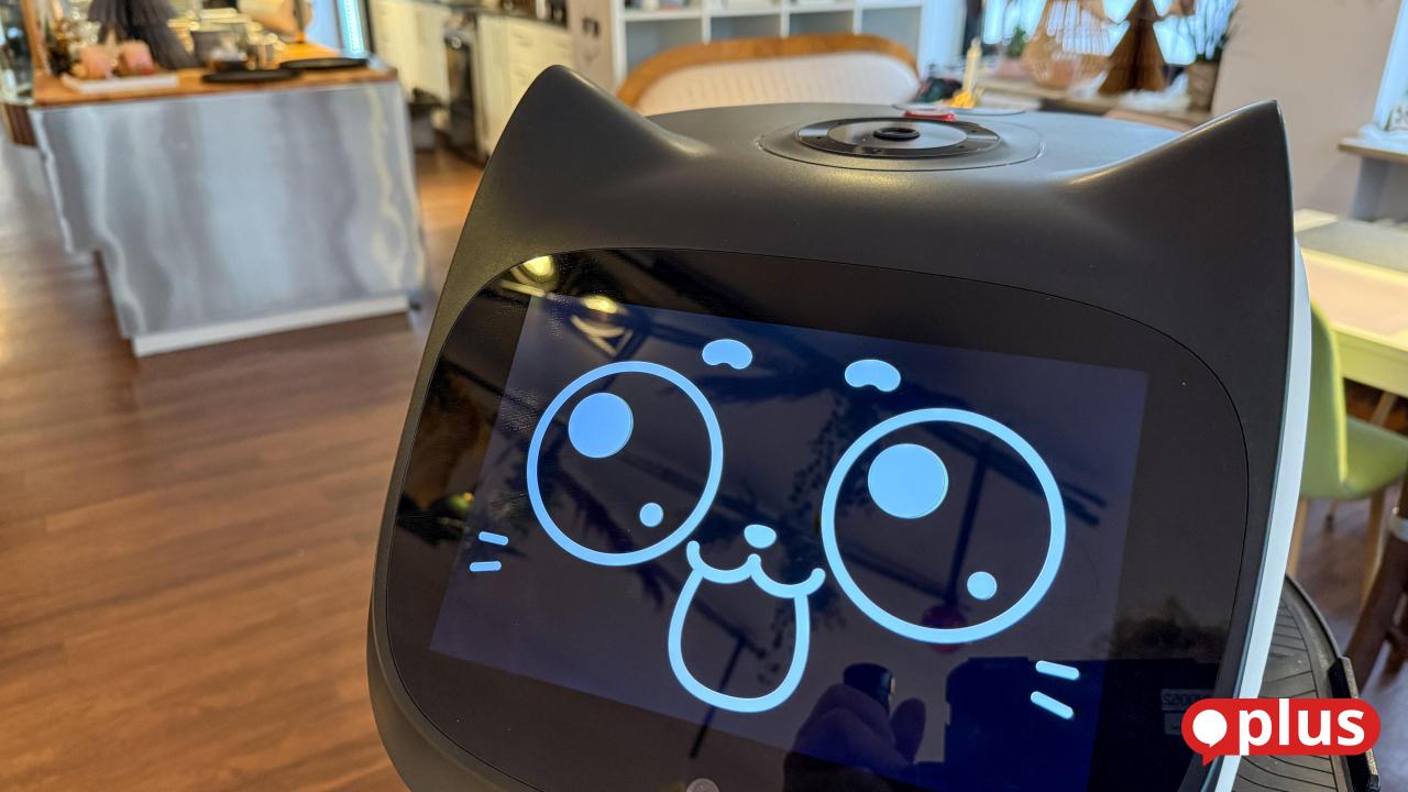 Neu-in-Amberg-Ein-Roboter-der-im-Caf-Kuchen-serviert