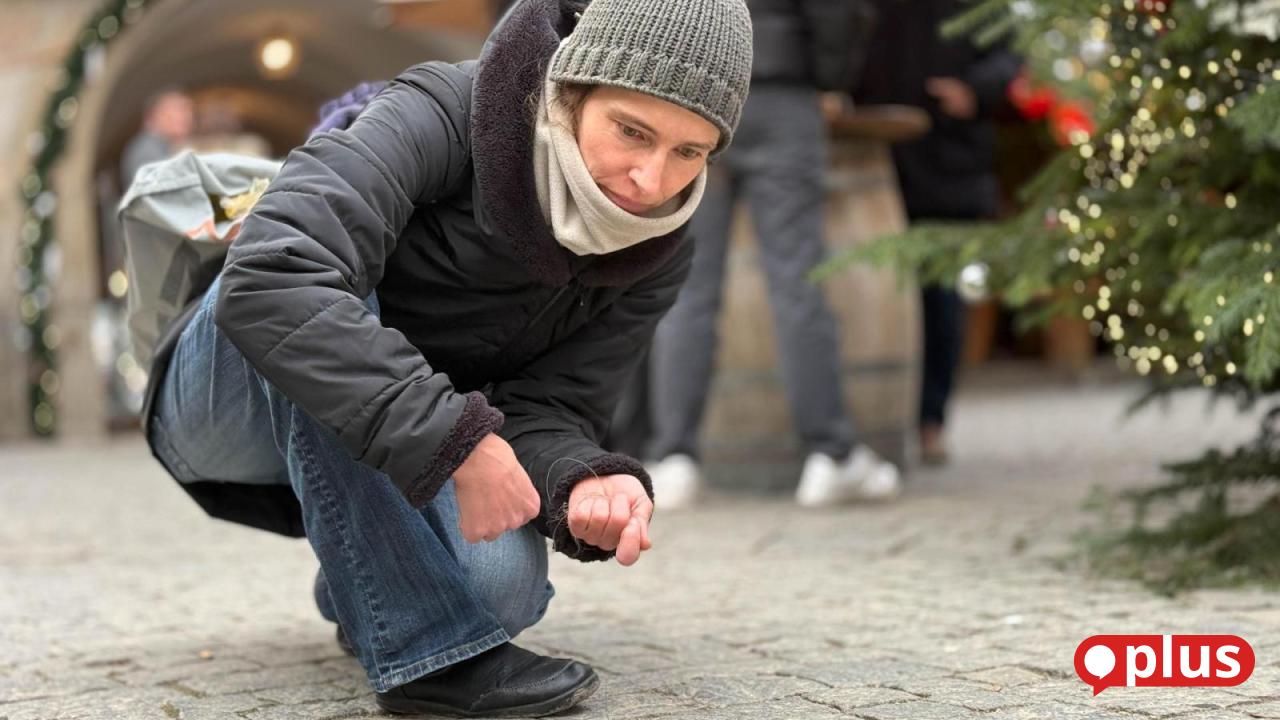 Rauhnachtslauf in Weiden: Animal rights activist concerned about pigeons