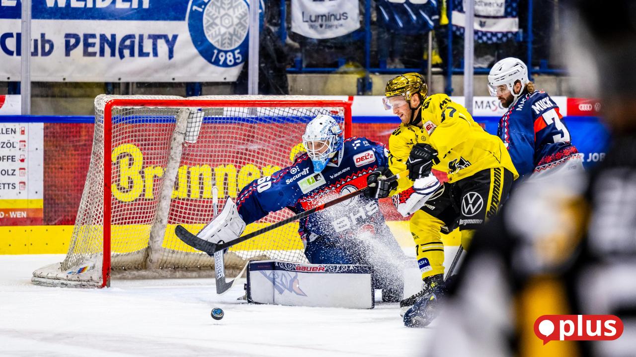 DEL-2-Splitter-Scheibendefekt-bei-den-Kassel-Huskies