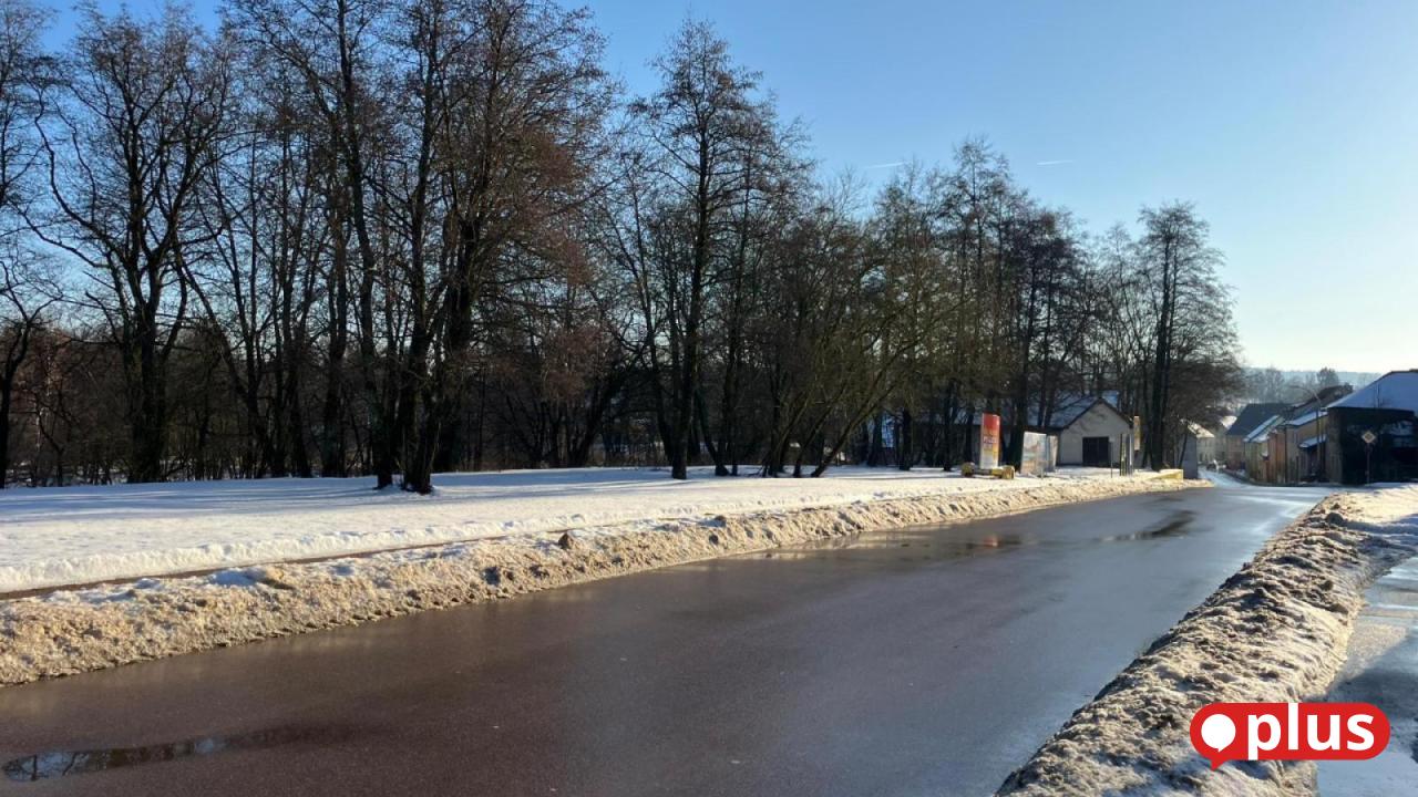 Sch-nsee-bekommt-einen-Netto-Markt-Investor-informiert-ber-Details