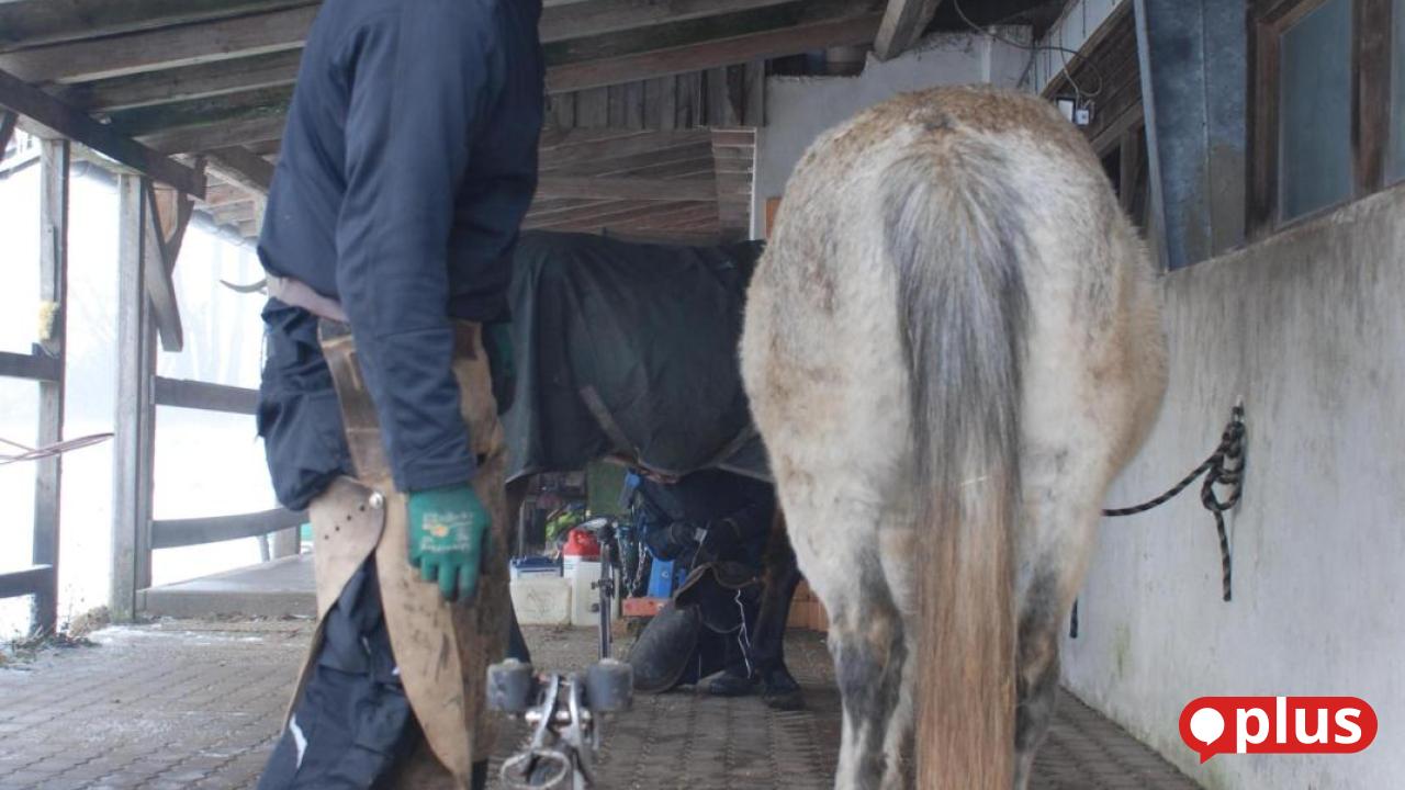 Vom-Elektrotechniker-zum-Hufschmied-Guttenberger-Johannes-Reindl-sattelt-um