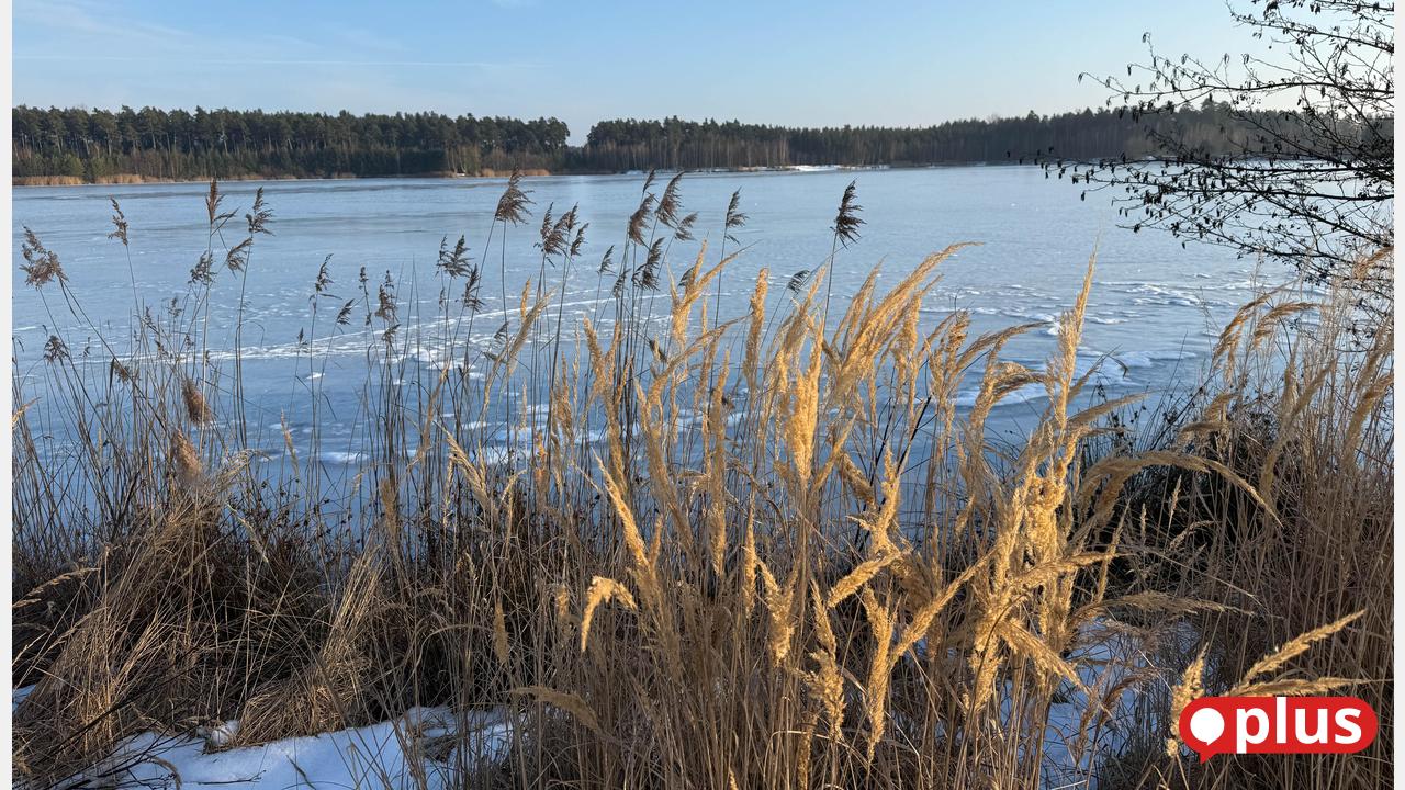 Die-furter-Freizeitsee-Darum-steigt-der-Investor-aus-dem-Projekt-aus