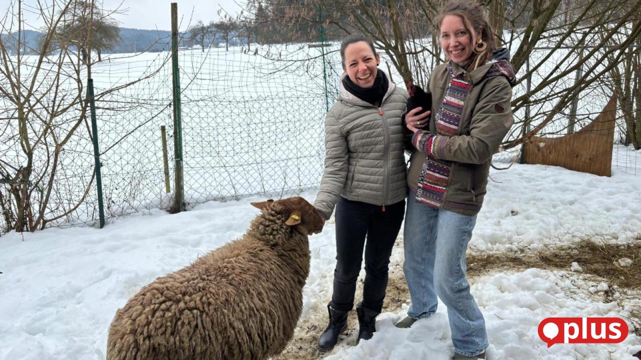 Das-Baumhaus-in-Schmidtstadt-Therapieeinrichtung-mit-tierischer-Unterst-tzung