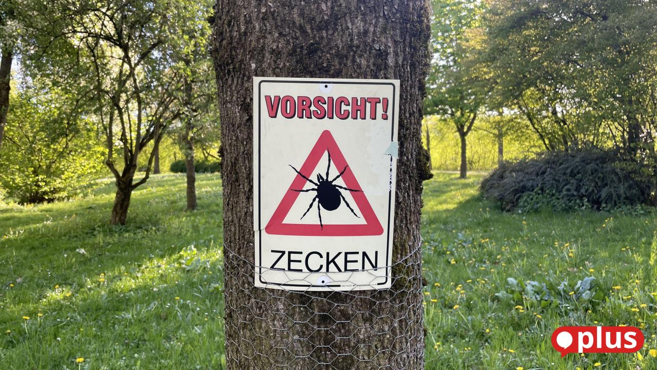 Risk areas Weiden and Neustadt district: How to protect yourself from ...