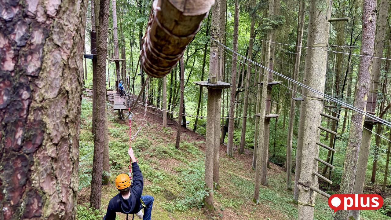 Hochseilgarten Hirschau: Abenteuer im Wald zieht Kletterfans an