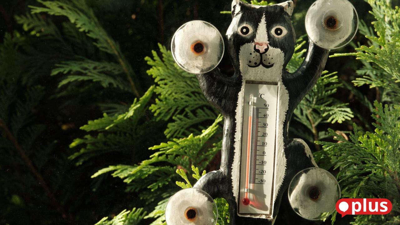 Record cold before new heat wave in the Upper Palatinate
