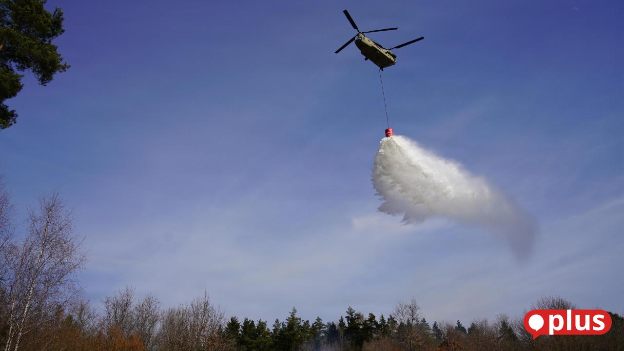 Fire as an enemy: US Army and Federal Forestry Office on the forest fire ...