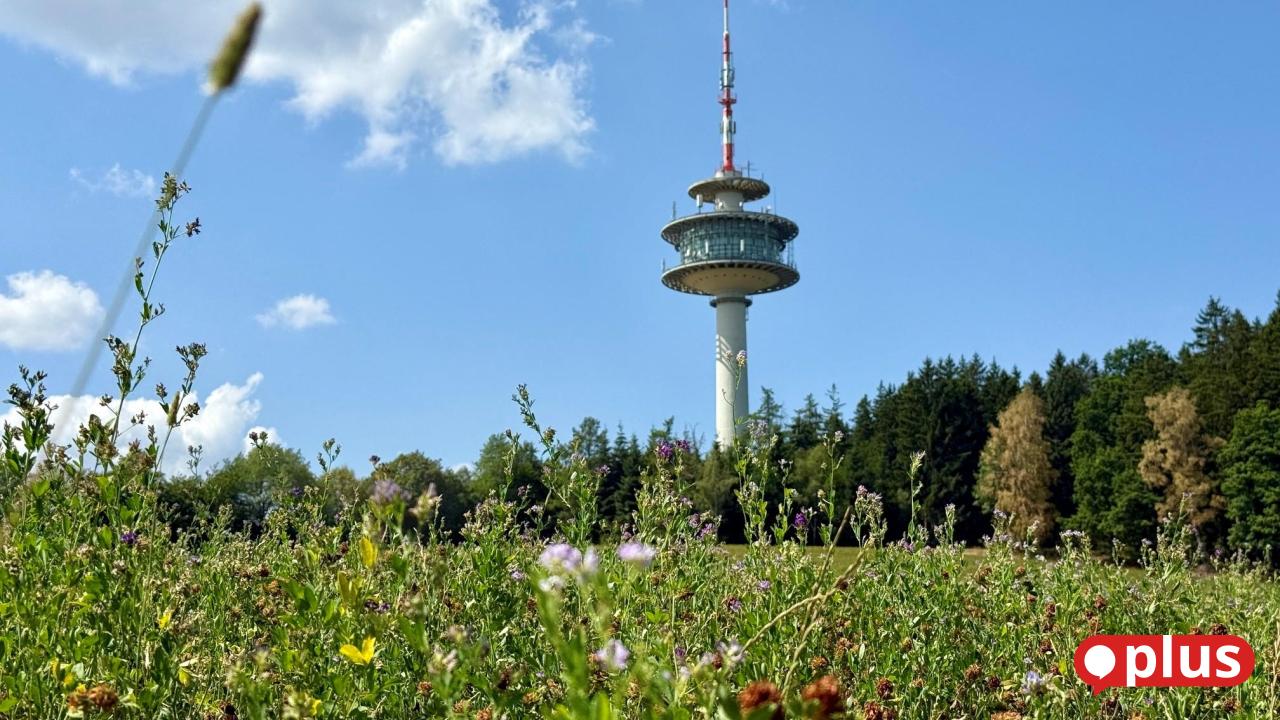 Weiden broadcasts to the world: The TV tower was built 60 years ago