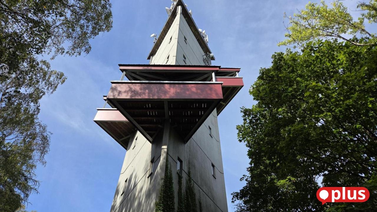 Naturparadies Rödlasberg: Fernsicht vom Turm, Wildtiergehege und Berghütte