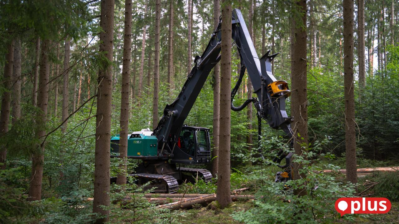 Effective and gentle: This is how modern harvesters drive forest ...