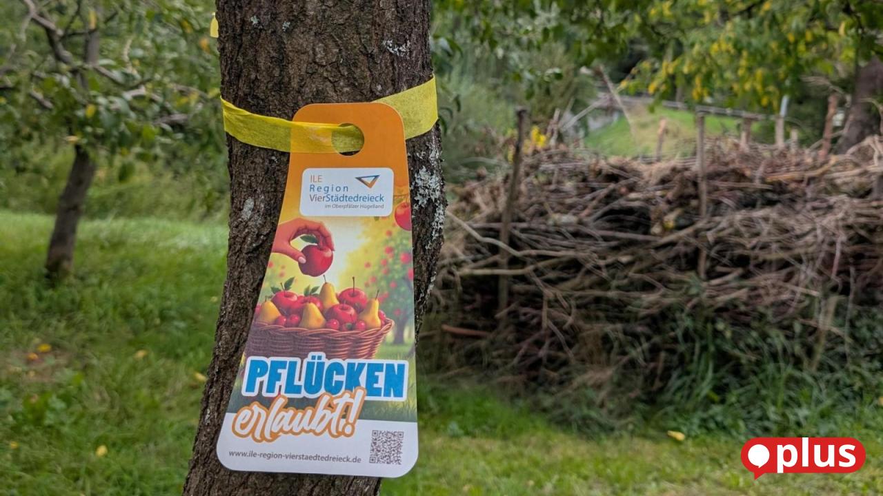 Free fruit picking: These are the locations in the Eschenbach area