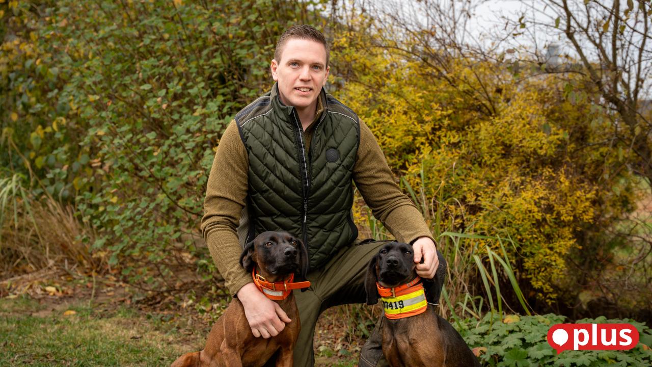 Wenn der Schuss nicht tödlich trifft: Simon Heiser und seine Hunde suchen ...