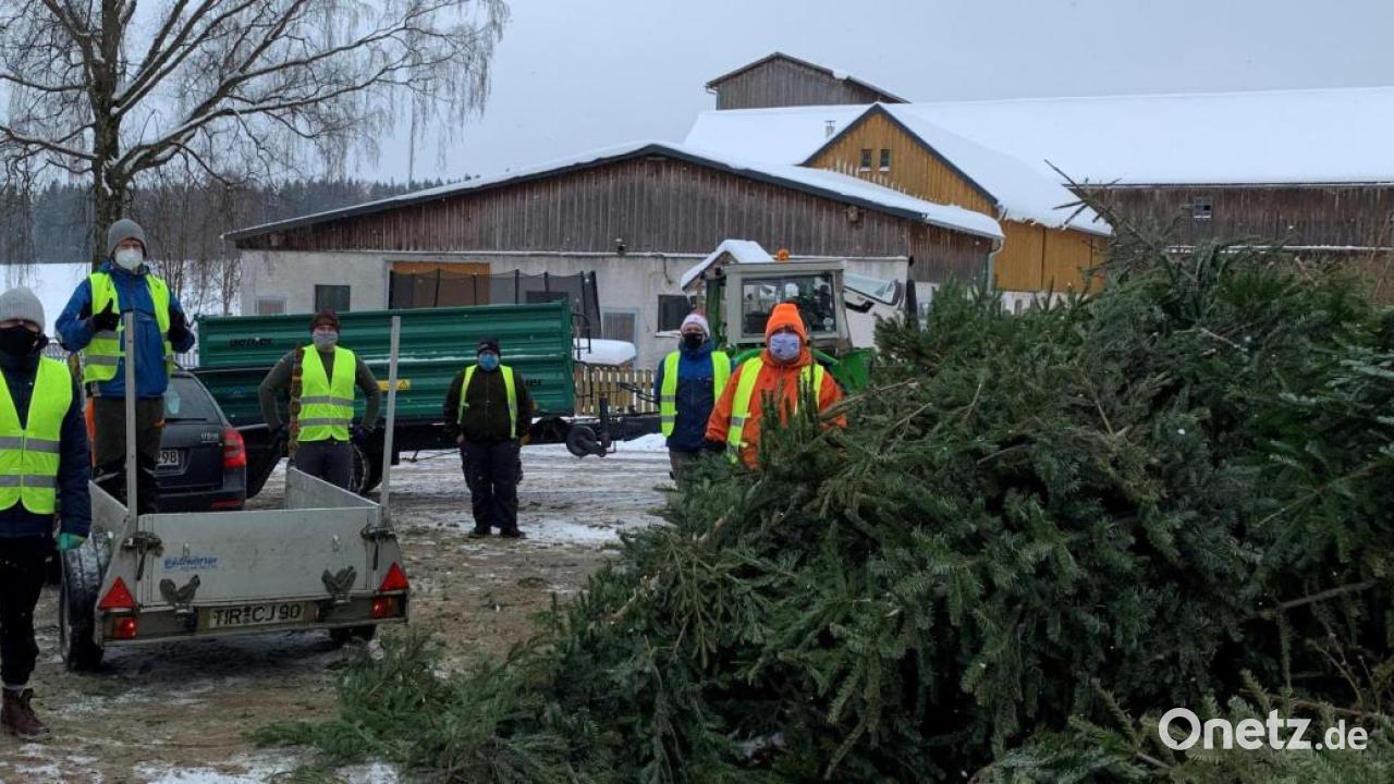 Christbaum Sammlung In Waldershof Mit Maske Und Abstand Onetz christbaum-sammlung-in-waldershof-mit-maske-und-abstand-onetz