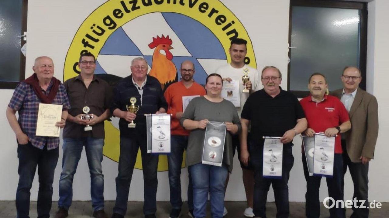 Gefl gelzuchtverein 1880 K mmersbruck Amberg Beklagt Mitgliederschwund gefl-gelzuchtverein-1880-k-mmersbruck-amberg-beklagt-mitgliederschwund