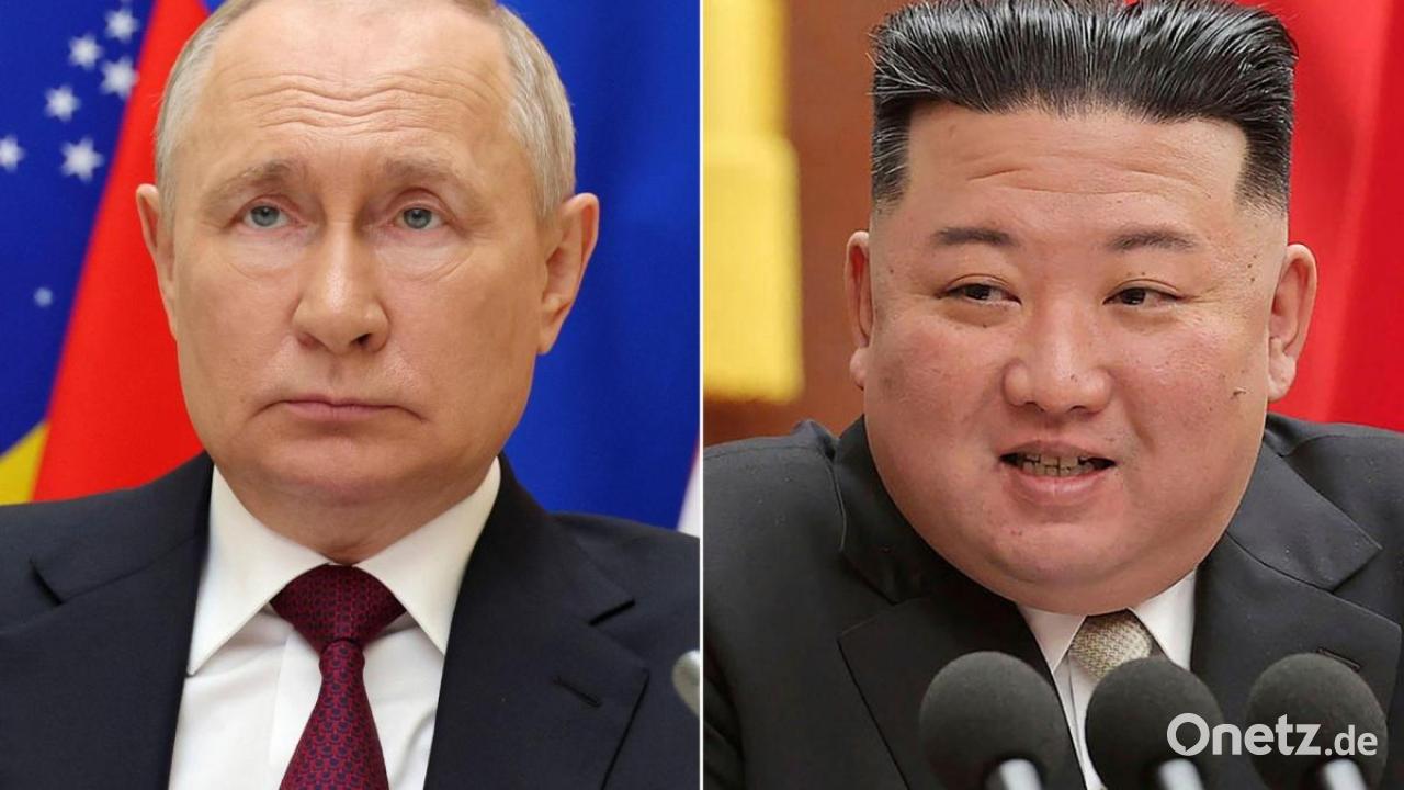Trump In Der Falle Geplantes Treffen Mit Putin Für Trump Ein Willkommener Ausweg Das Müssen Sie Wissen - ynbn92m