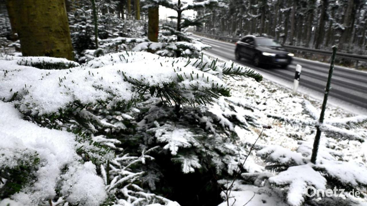 Schneefall-in-Mittelgebirgen-und-Alpen