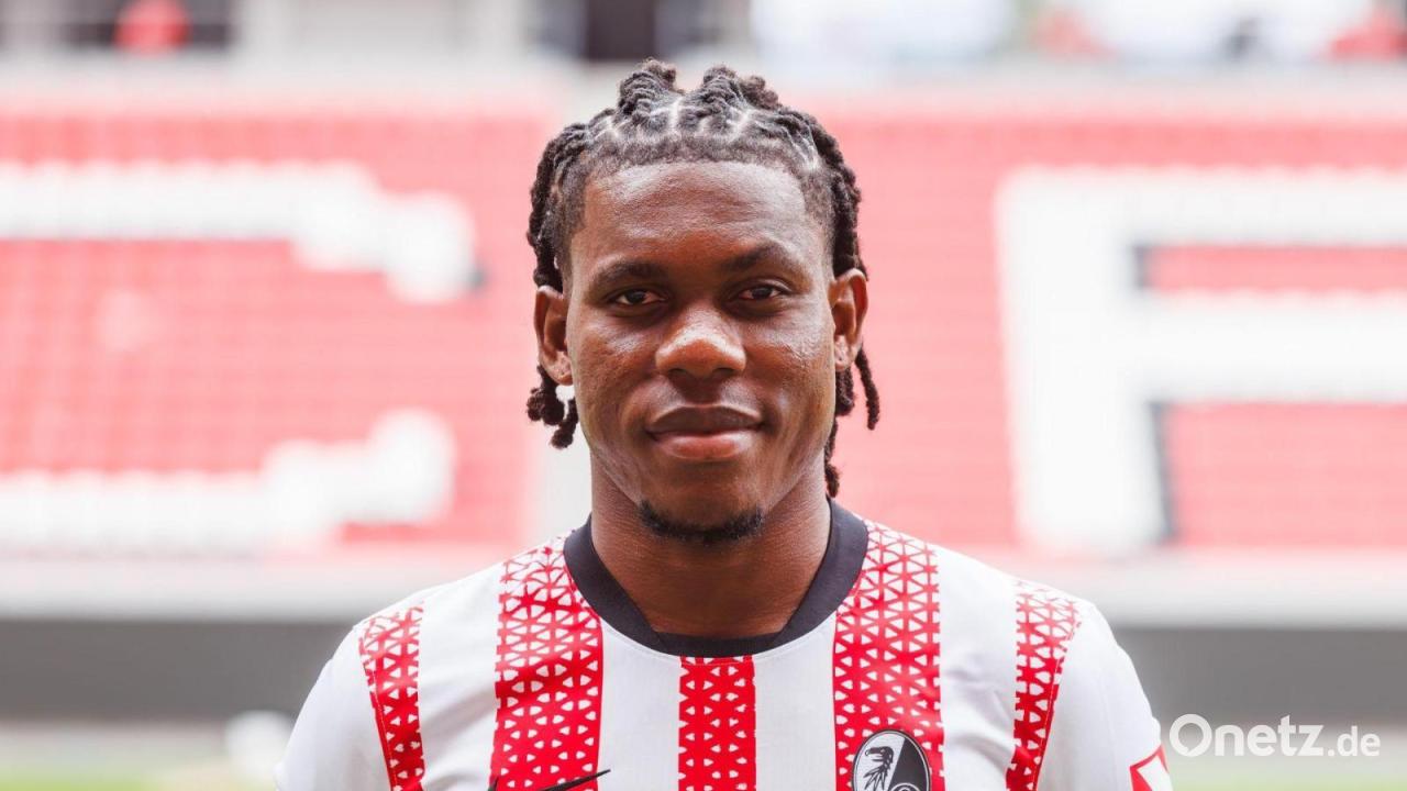 Nach-Malaria-Infektion-Positive-Signale-bei-Freiburgs-Iri-