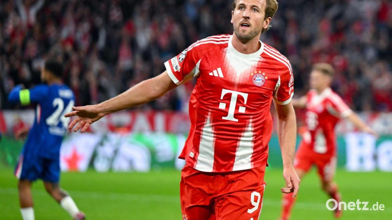 Hoene-adelt-Kane-Ebenb-rtig-mit-Vereinslegende