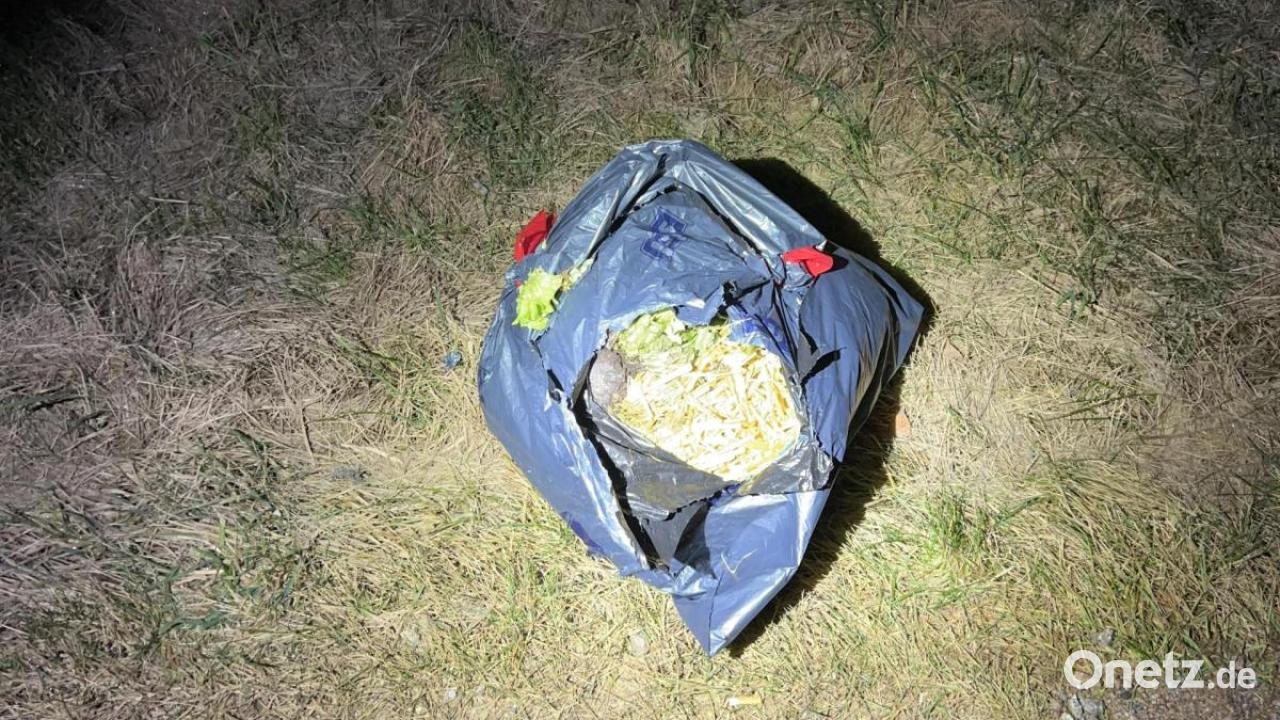 Gartenabf-lle-bei-Stulln-illegal-entsorgt