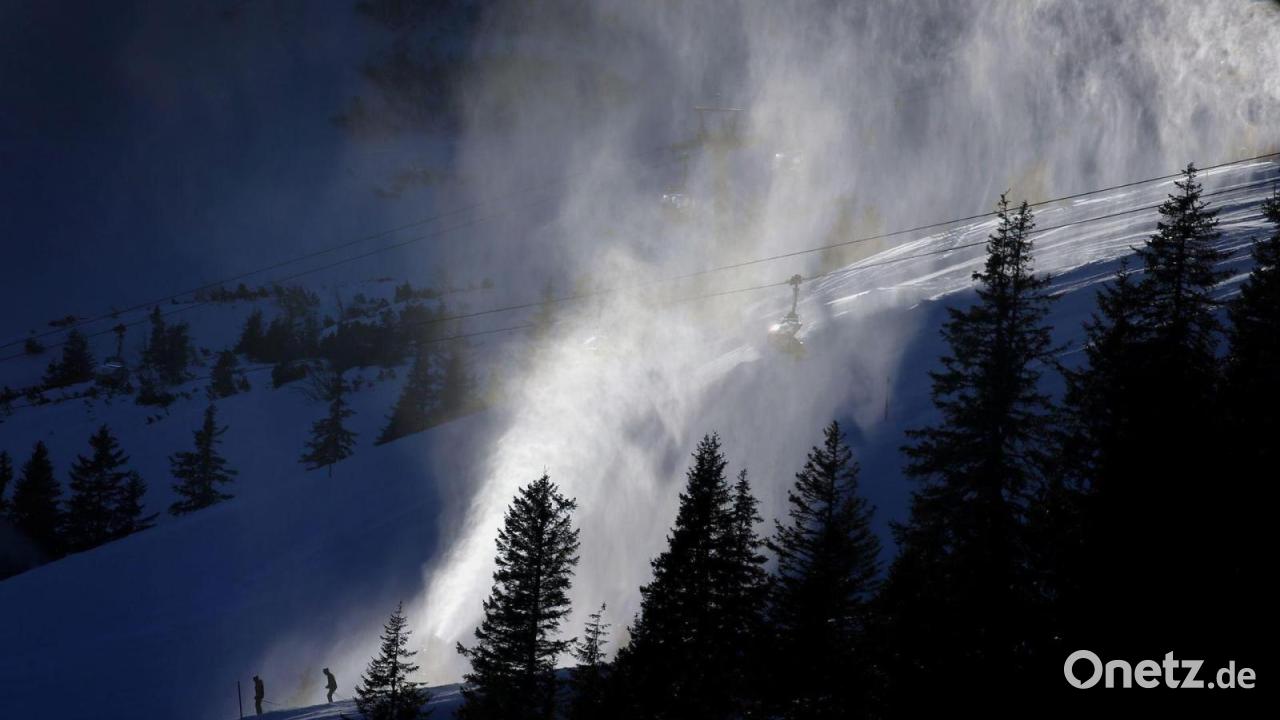 Birkhuhn in Gefahr? LBV macht Front gegen Liftbau im Allgäu