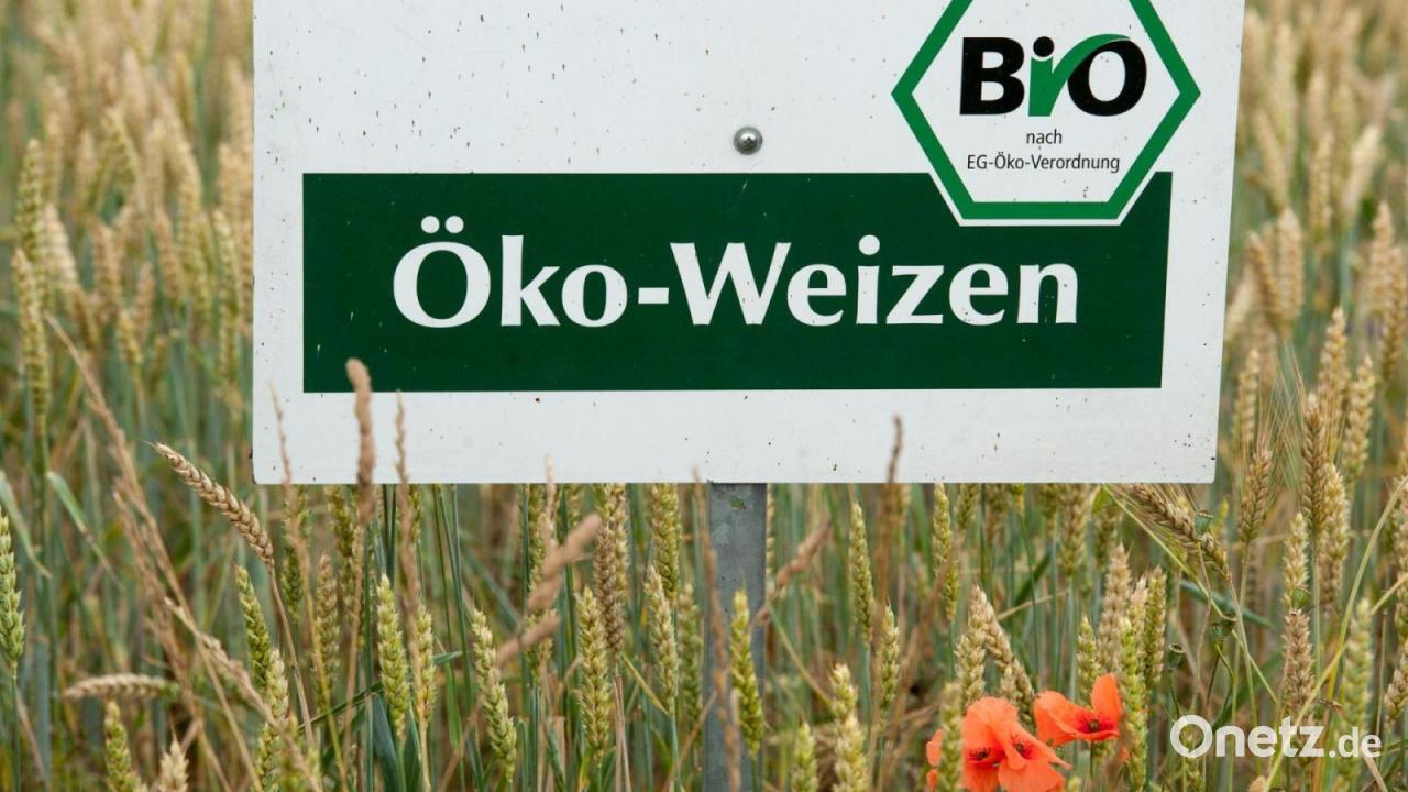 Bayern verliert Ökolandbau-Ausbau immer mehr aus den Augen