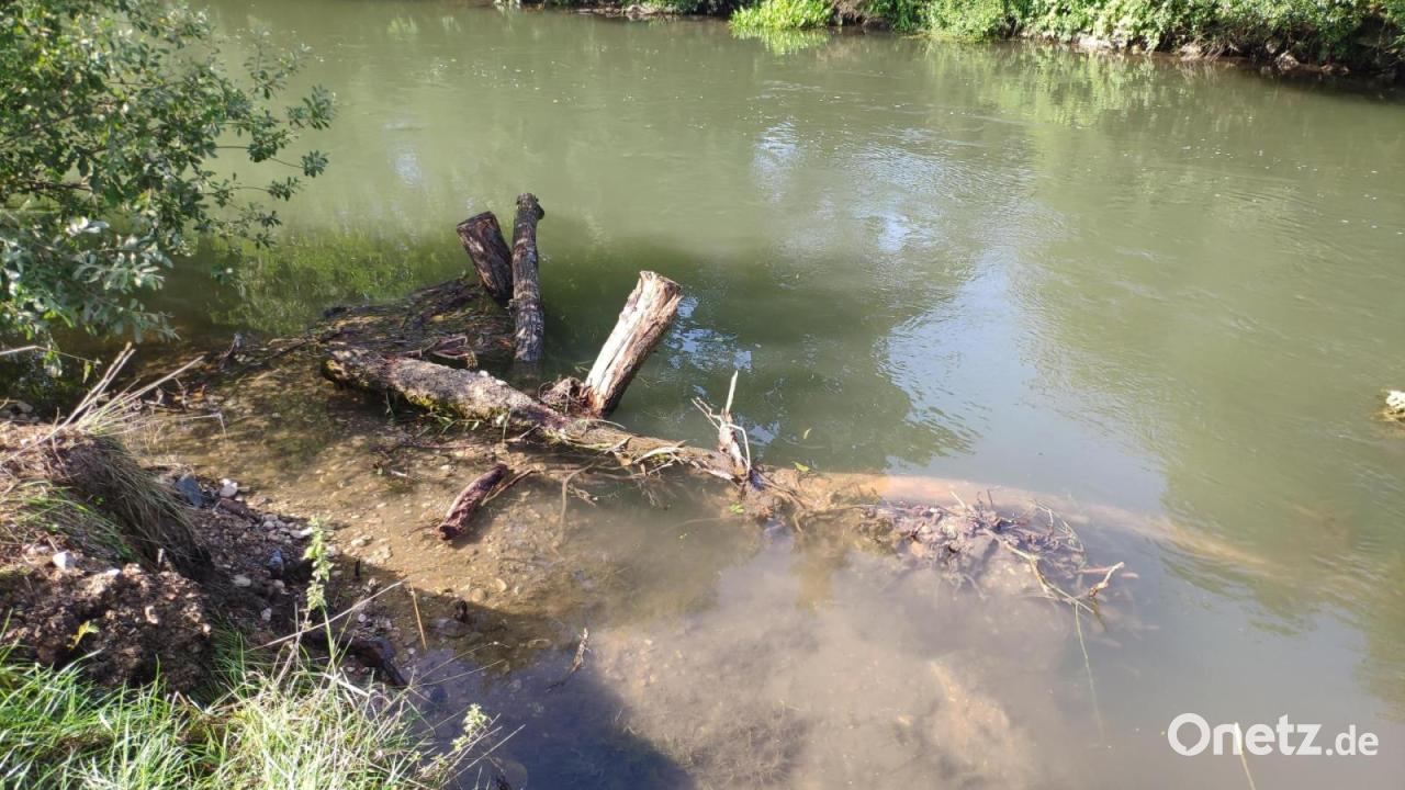 Wasserwirtschaftsamt-Weiden-plant-Renaturierung-der-Ascha-bei-Leinm-hle