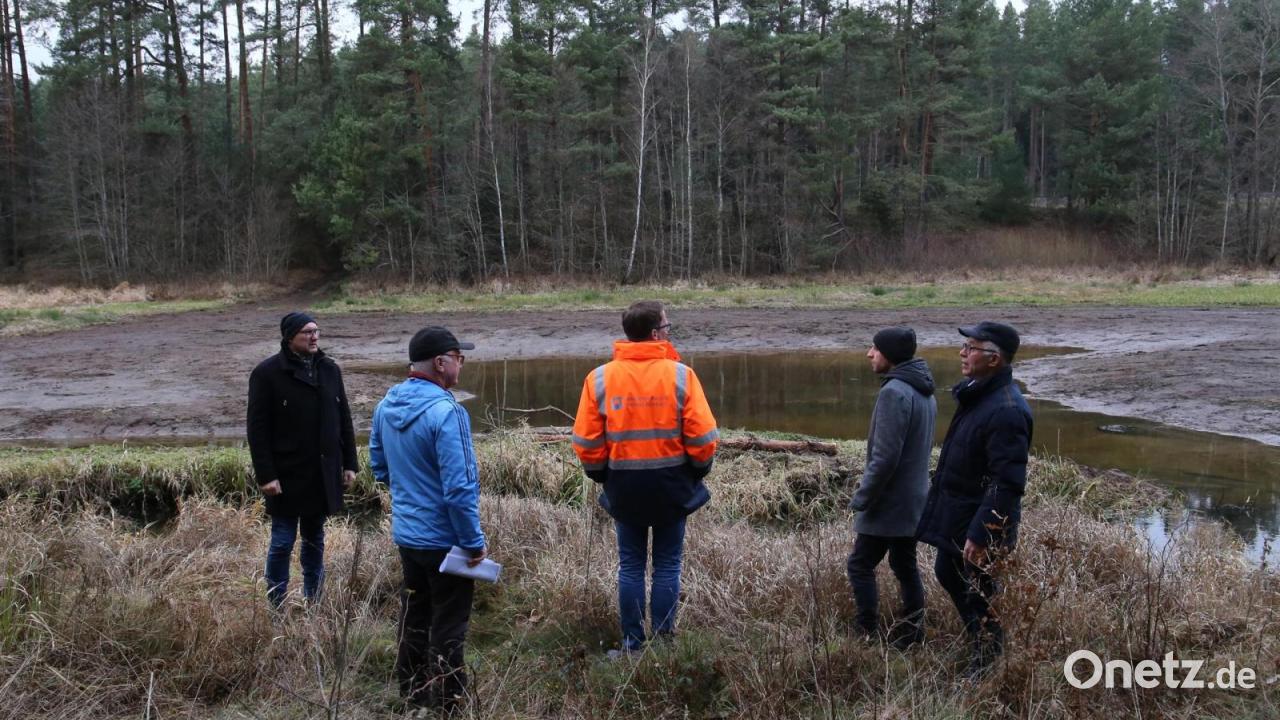Ortsumgehung-Mantel-Rodungen-f-r-Kreisverkehr-starten