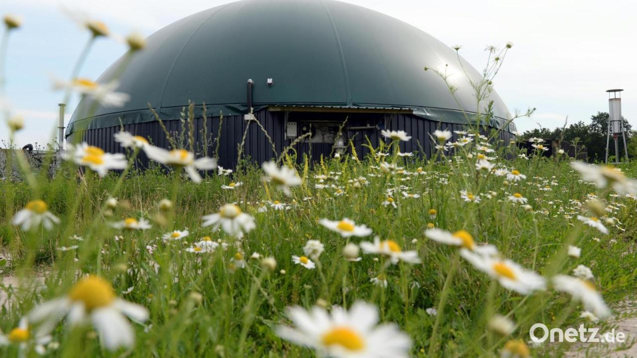 C-A-R-M-E-N-Fachgespr-ch-W-rmeverkauf-von-Biogasanlagen-im-Fokus