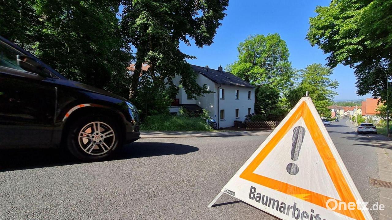 Seilbrücke in Nürnberg soll Eichhörnchen vor Autos schützen