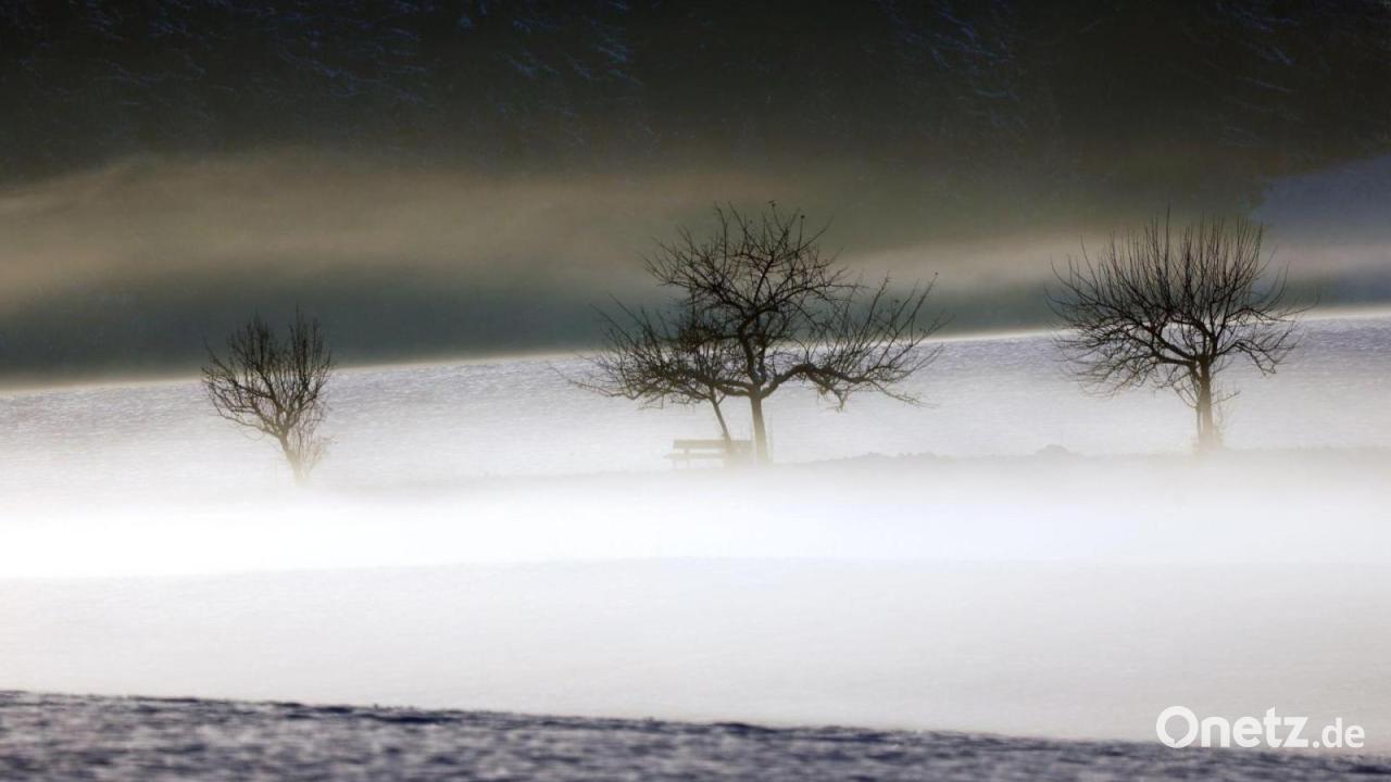 Trüber Start ins Wochenende - milde Temperaturen