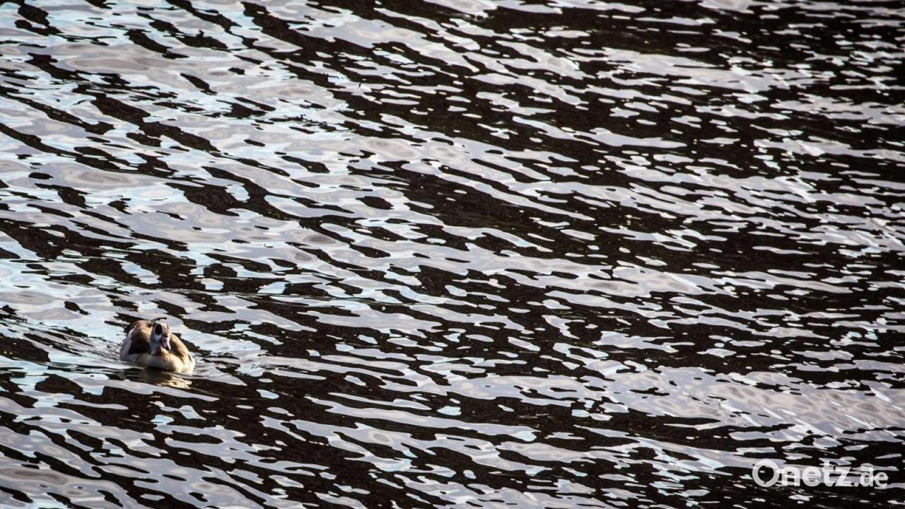 Bei Schiffsunfall läuft Dieselkraftstoff in den Main